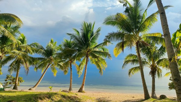 Quelles sont les nouvelles tendances du tourisme en 2024 ?